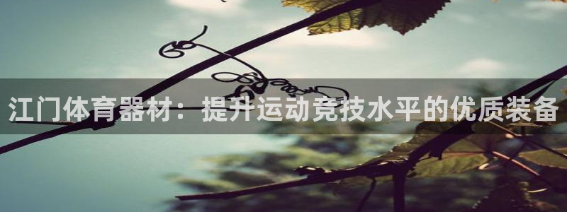 凯时官网下载客户端：江门体育器材：提升运动竞技水平的
