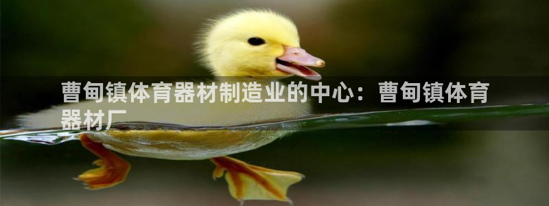 z6尊龙官网：曹甸镇体育器材制造业的中心：曹甸镇体育