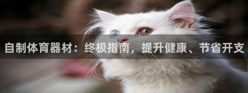 尊龙凯时泰安：自制体育器材：终极指南，提升健康、节省