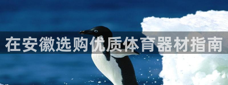尊龙ag旗舰厅官网·(中国)官方入口：在安徽选购优质