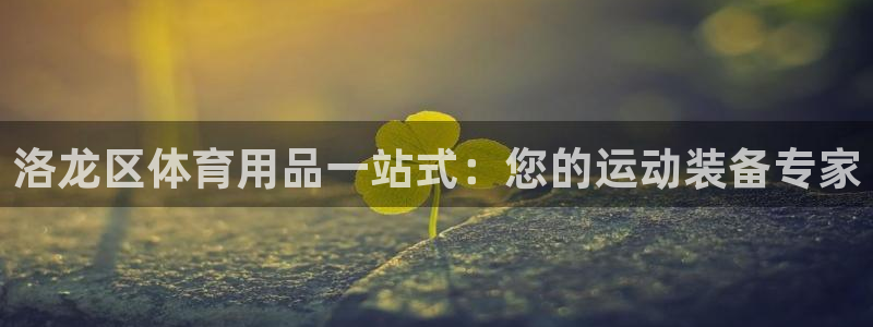 尊龙最经典的三个角色：洛龙区体育用品一站式：您的运动