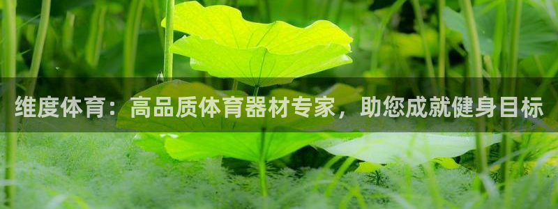 凯时尊龙平台登录：维度体育：高品质体育器材专家，助您