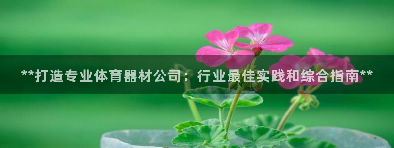 凯时国际官方版：**打造专业体育器材公司：行业最佳实