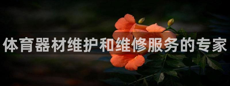尊龙AG旗舰厅app下载：体育器材维护和维修服务的专