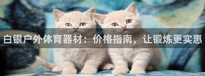 kb88凯时SO权威AG发财网：白银户外体育器材：价