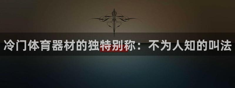 尊龙下载推荐网站：冷门体育器材的独特别称：不为人知的