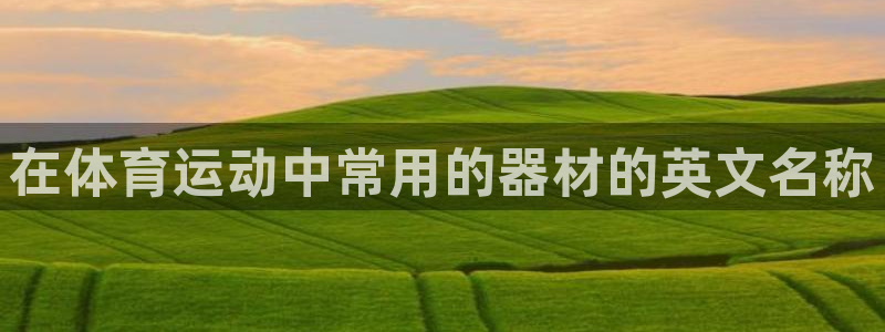 尊龙,人生就是搏：在体育运动中常用的器材的英文名称