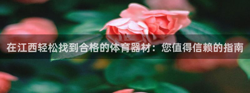 尊龙人生就是博旧：在江西轻松找到合格的体育器材：您值
