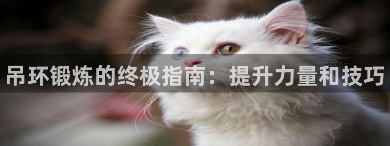 尊龙凯时福米推荐人：吊环锻炼的终极指南：提升力量和技
