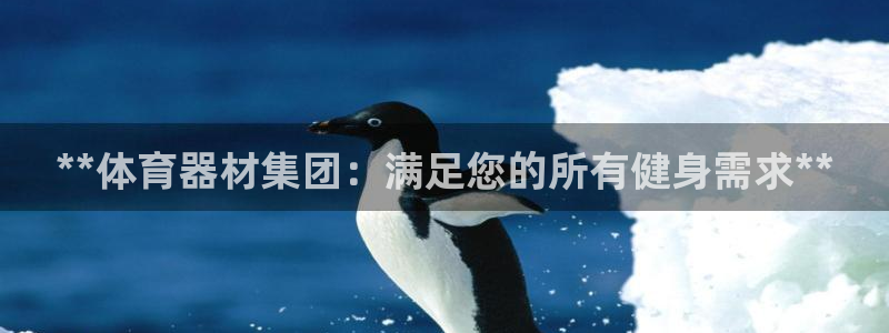 尊龙官网免费下载安卓：**体育器材集团：满足您的所有健身需求