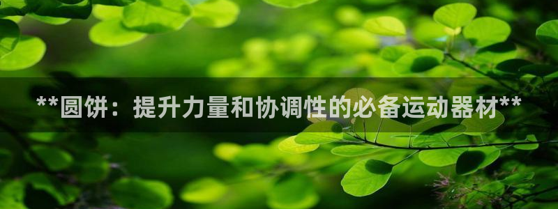 凯时官网：**圆饼：提升力量和协调性的必备运动器材*