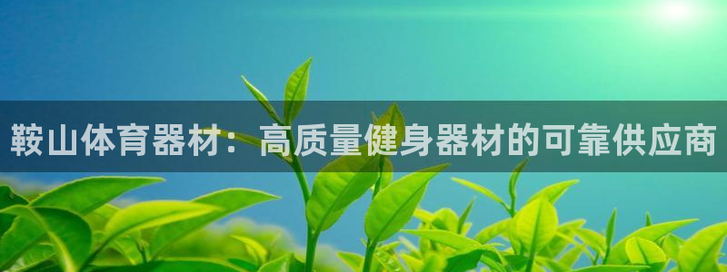 尊龙凯时存款不上分：鞍山体育器材：高质量健身器材的可