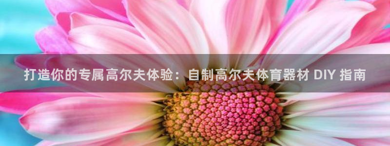 d88尊龙官网手机app：打造你的专属高尔夫体验：自