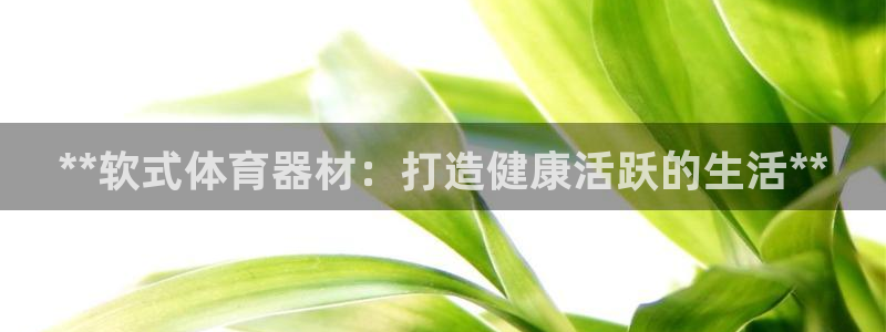 尊龙网址苹果版下载：**软式体育器材：打造健康活跃的