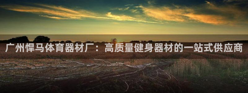 凯时首页登录：广州悍马体育器材厂：高质量健身器材的一