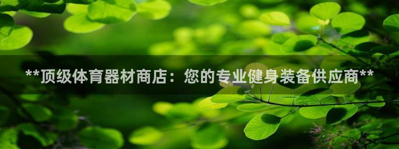 尊龙官网免费下载安卓：**顶级体育器材商店：您的专业