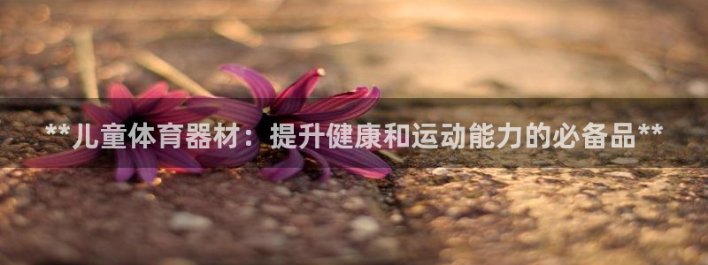 尊龙凯时app官网：**儿童体育器材：提升健康和运动