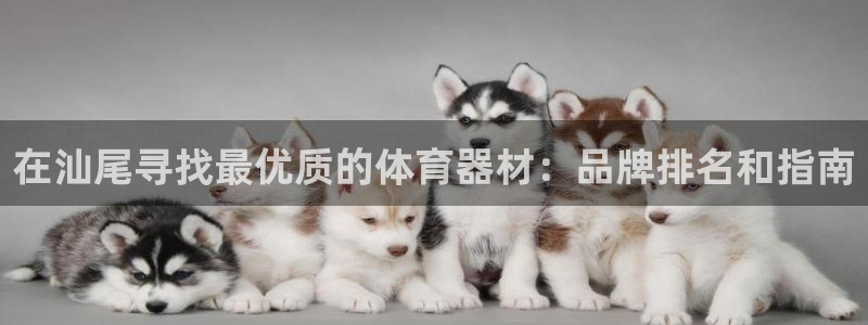 尊龙2020：在汕尾寻找最优质的体育器材：品牌排名和指南