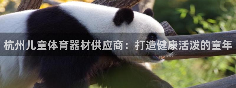 尊龙人生就是博D88：杭州儿童体育器材供应商：打造健