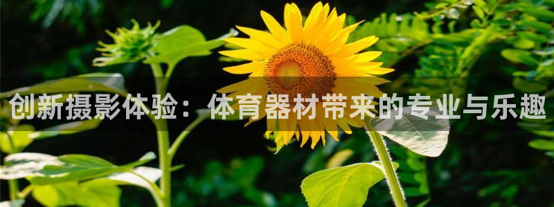 尊龙人生就是博i可靠吗