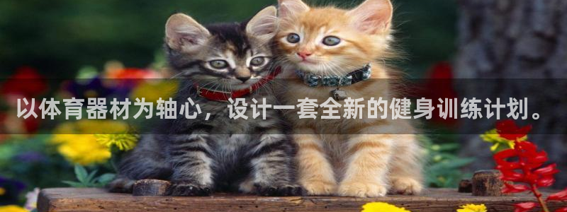 尊龙凯时白家乐