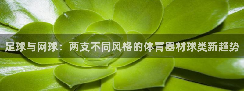 凯时K66最新版本下载