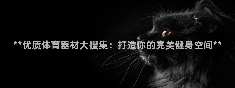 尊龙凯时网娱乐最新版：**优质体育器材大搜集：打造你