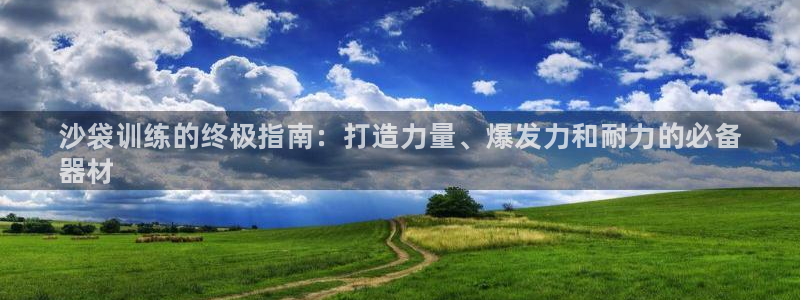 尊龙凯时输了100万：沙袋训练的终极指南：打造力量、