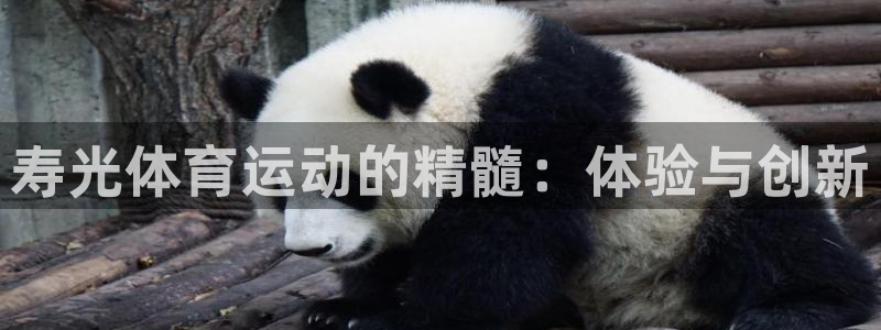 尊龙d88现金关注ag发财网：寿光体育运动的精髓：体