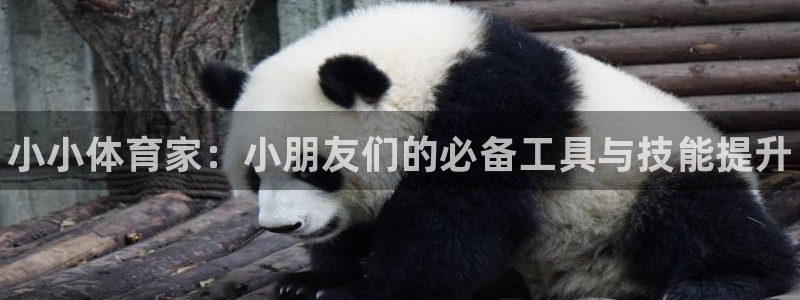 尊龙凯时 人生就是搏客服：小小体育家：小朋友们的必备