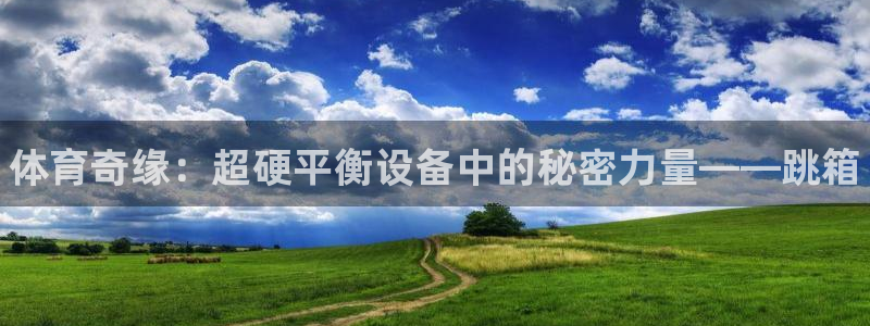 尊龙这个平台怎么样：体育奇缘：超硬平衡设备中的秘密力