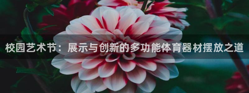 尊龙集团：校园艺术节：展示与创新的多功能体育器材摆放